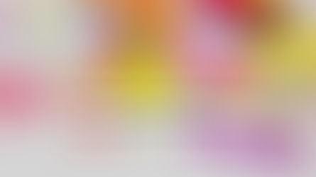 استيراد الأدوات المنزلية من مصر يشمل قوالب سيليكون وأدوات مطبخ ملونة وأدوات خبز بلاستيكية متنوعة مناسبة للتجارة والاستيراد والاستخدام المنزلي مع تنوع في الأشكال والأحجام وجودة تصنيع مناسبة للتصدير.