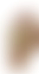 استيراد نعال طبية من تركيا, فرش طبي تركي, استيراد النعال الطبية من تركيا, استيراد الفرش الطبي من تركيا, استيراد النعال السيليكون من تركيا, نعل سيليكون تركي, استيراد نعل سيليكون تركي, احذية طبية تركية, استيراد احذية طبية من تركيا