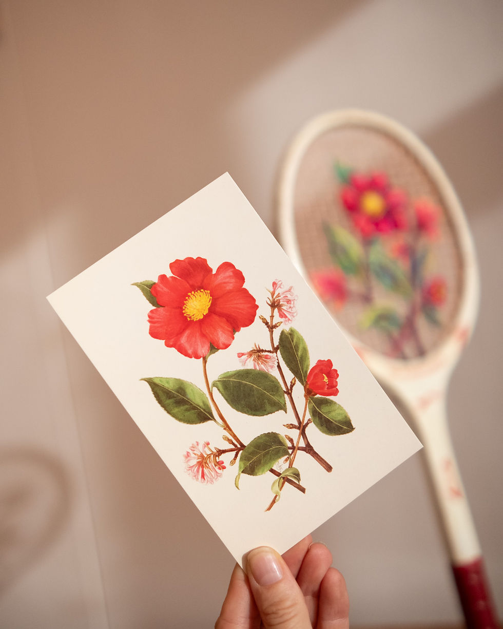 Thumbnail: The Spring Becomes the Rose