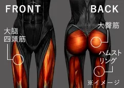 img_hip-leg02.webp