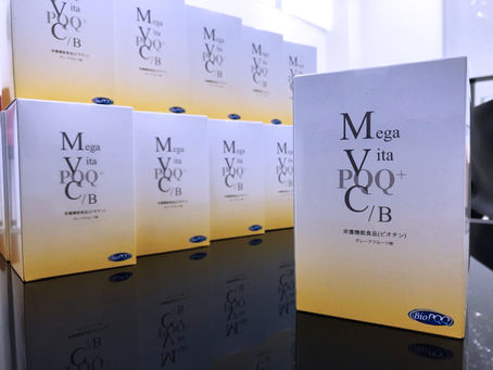 メガビタC入荷致しました。