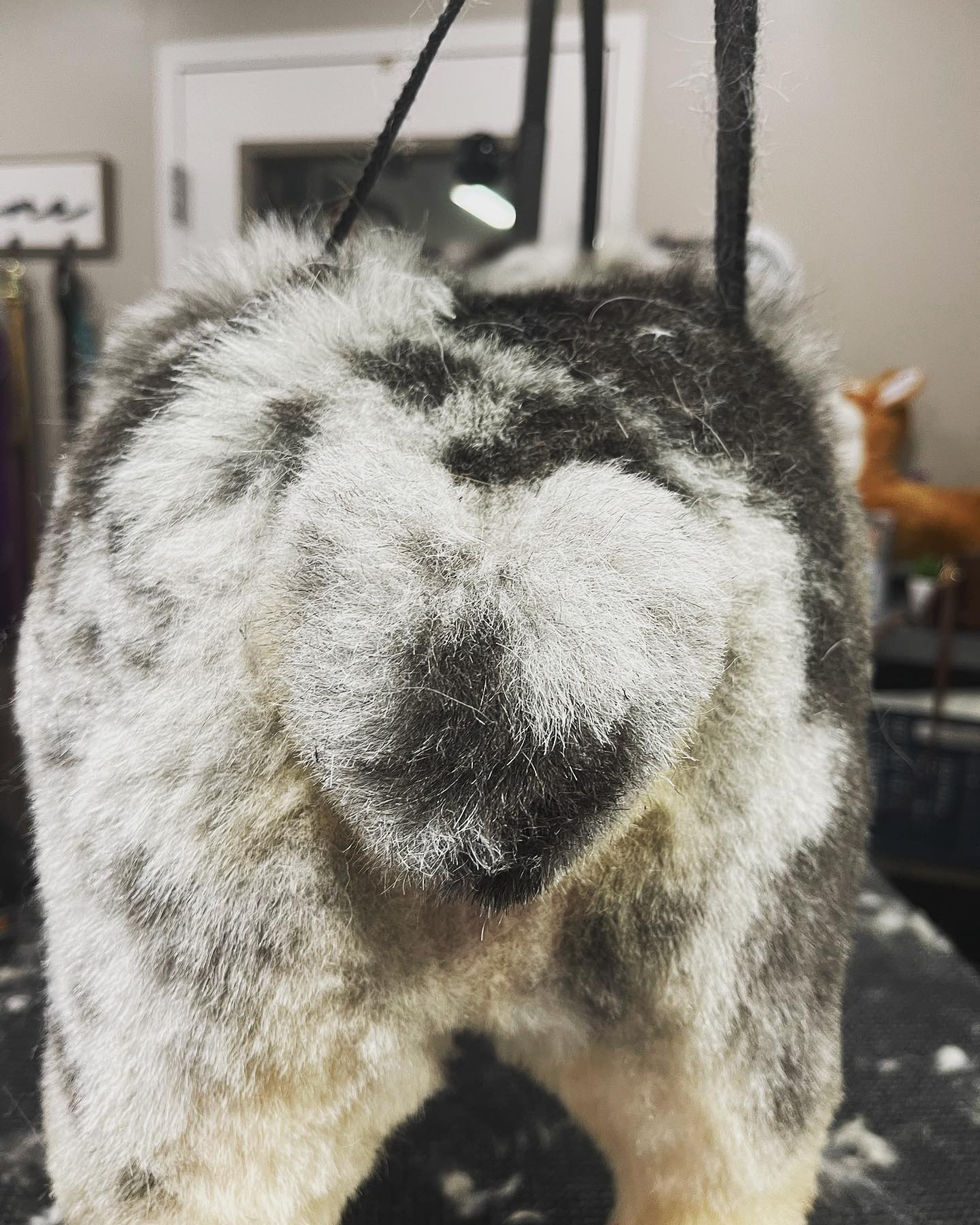 346901503_545129794249289_7570373952869023157_n_18163944907304434