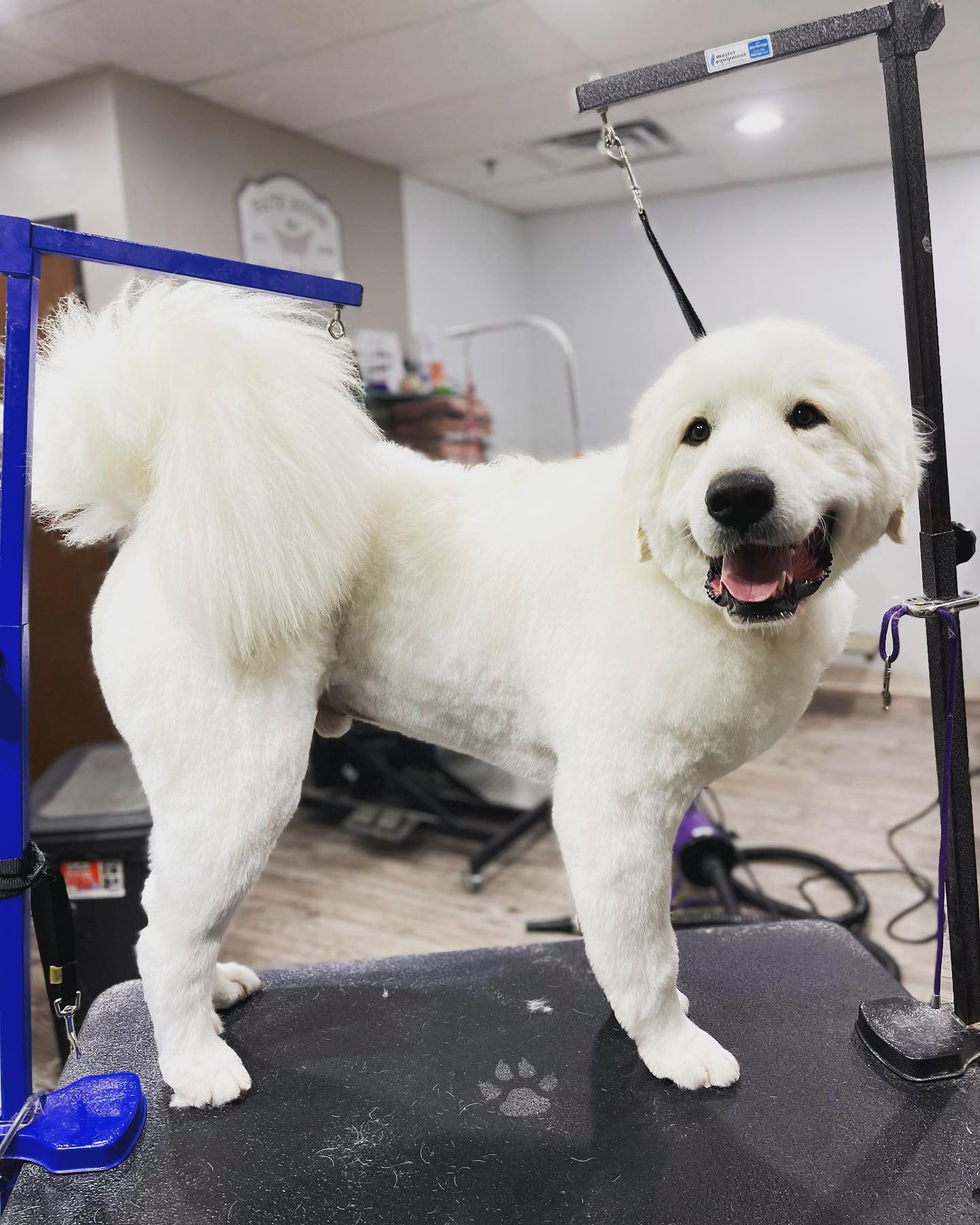 363277629_240603142235976_3783090808721150487_n_18013302136692902