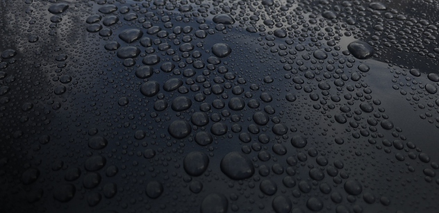 Website Images2-19.png