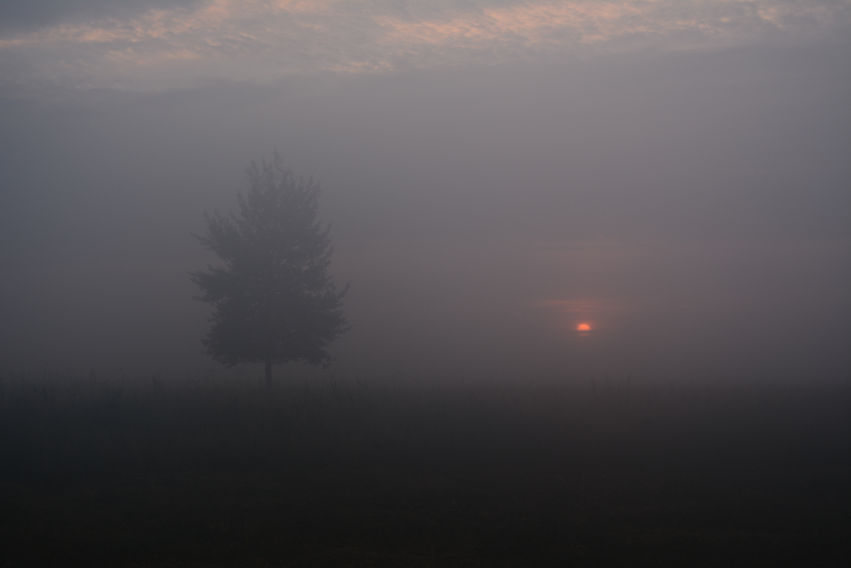 DSC_4816.JPG