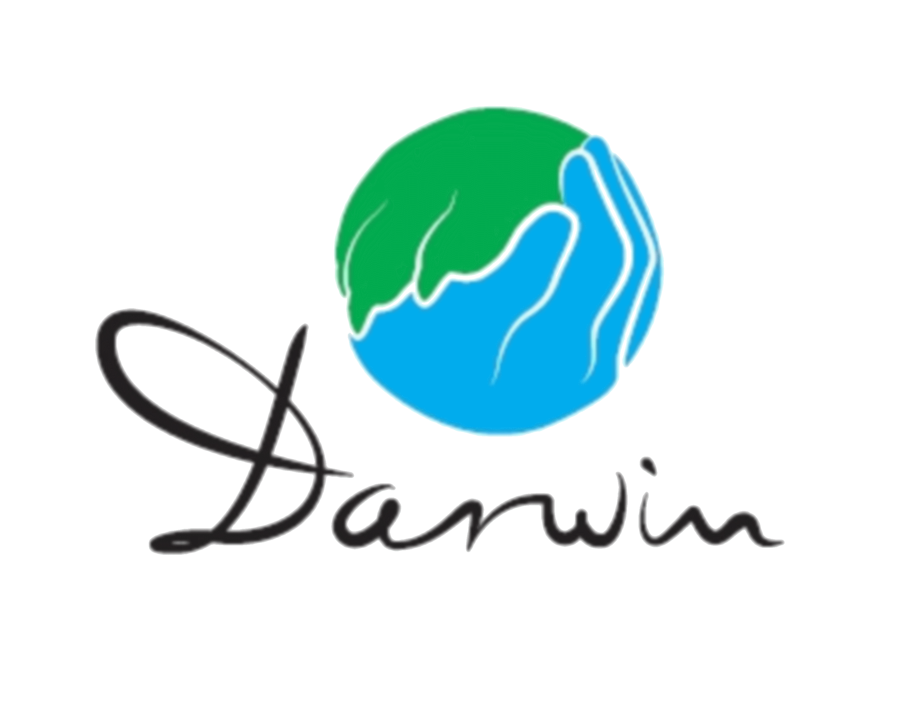 logosolo.gif