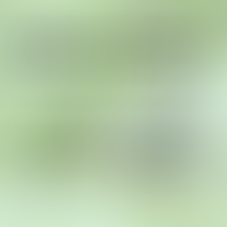 Rabbits Vs. Squirrels - WHAT IS THE NEW DEFINITION OF STRENGTH 