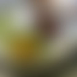 Grilled Korean Bulgogi