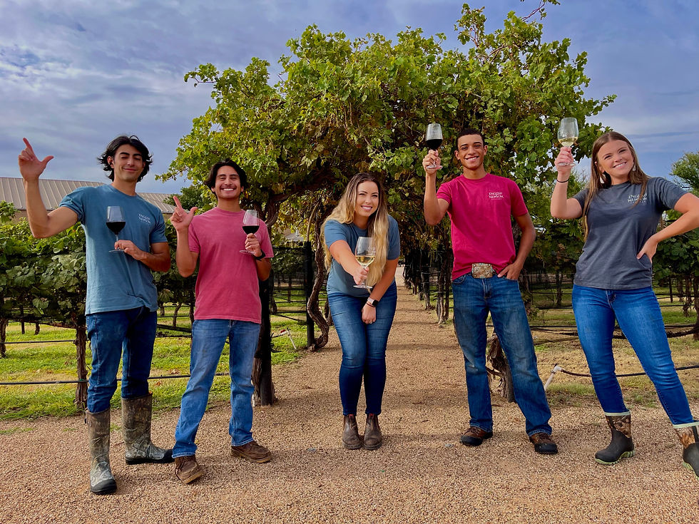best wineries in Fredericksburg, TX, wine tasting in Fredericksburg, TX, Fredericksburg, TX wine tours