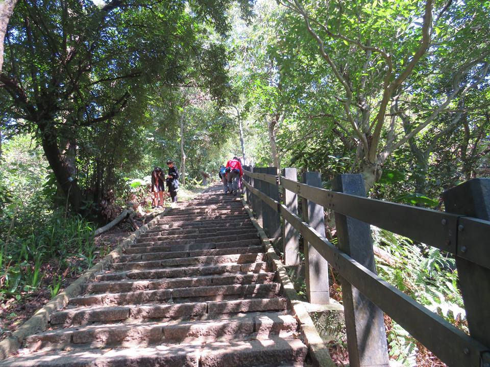 Hiking trail