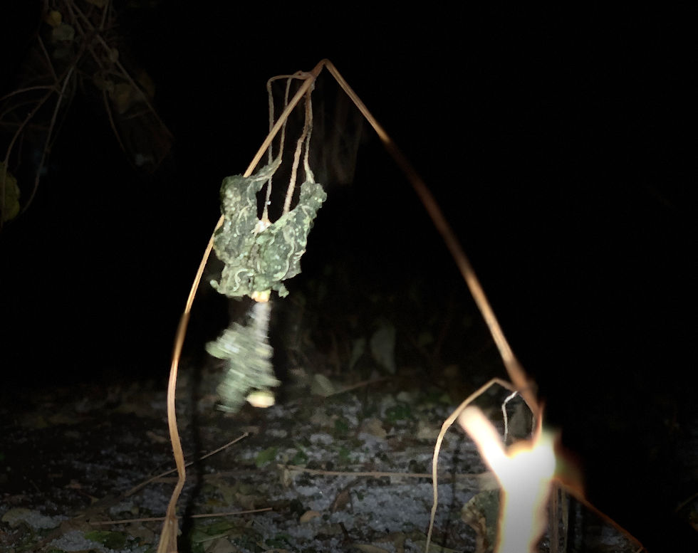 俯瞰的残破景象・泪之弦 | Overlooking the Broken Landscape, the String of Tears