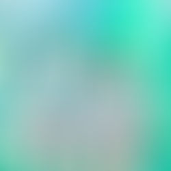 佳能企業年終餐會