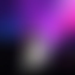 富盛證券VIP演唱會