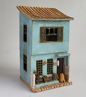 Blue House with cat