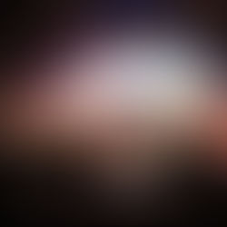 威盛電子2019年終餐會