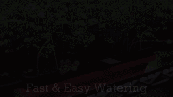 Watering Gif - Agricultural Tray - On The Grow (2)