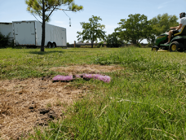 Mowing over Microgreens