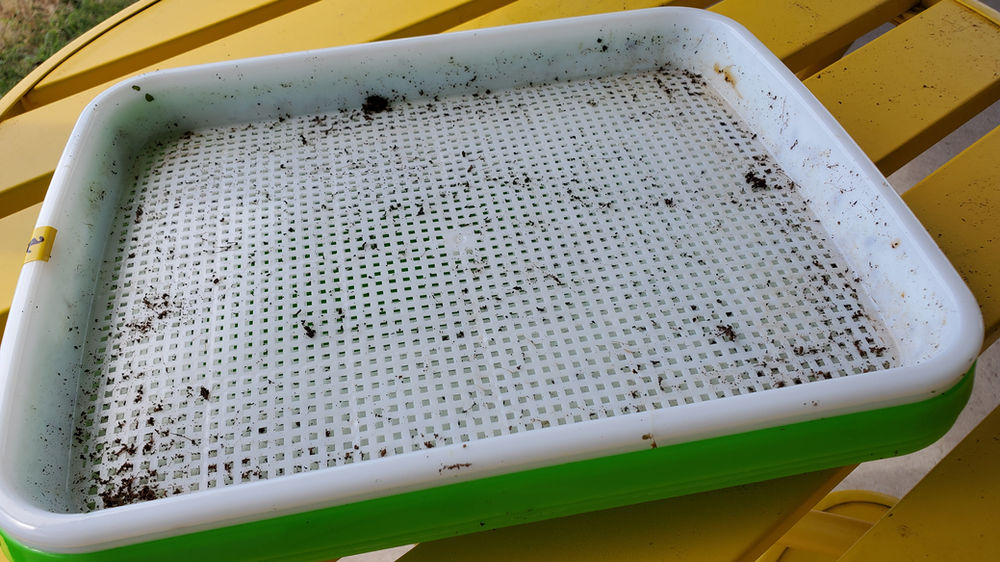 How to Clean and Sanitize Microgreens Trays with Tips and Tricks from