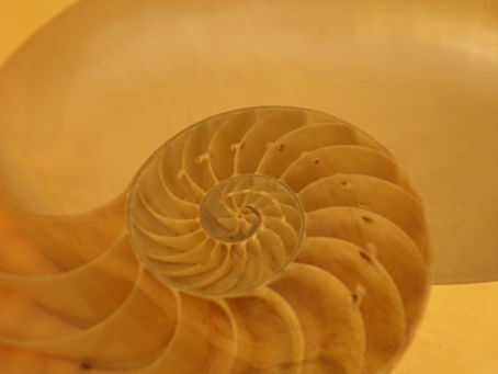 Why Burnout Happens: When Expansion Outpaces Integration