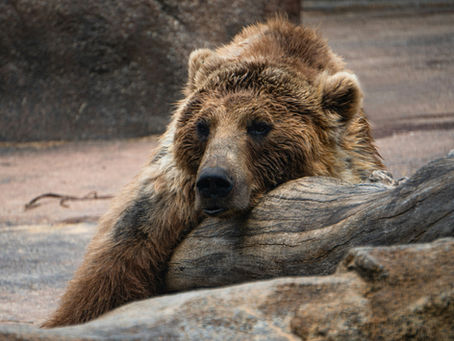The Missing Piece in Burnout Recovery