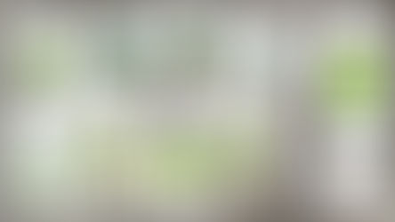 Listnaté stromy - listy a plody