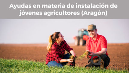 Ayudas en materia de instalación de jóvenes agricultores
