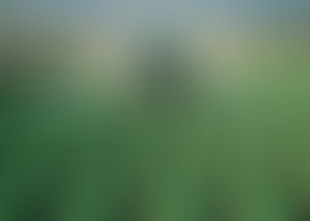 Convocatoria de subvenciones agrarias para Aragón