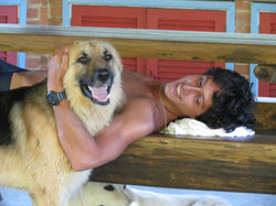 Momento descontraído com os cães