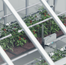 Multispectral vs hyperspectral: what actually matters in protected growing?