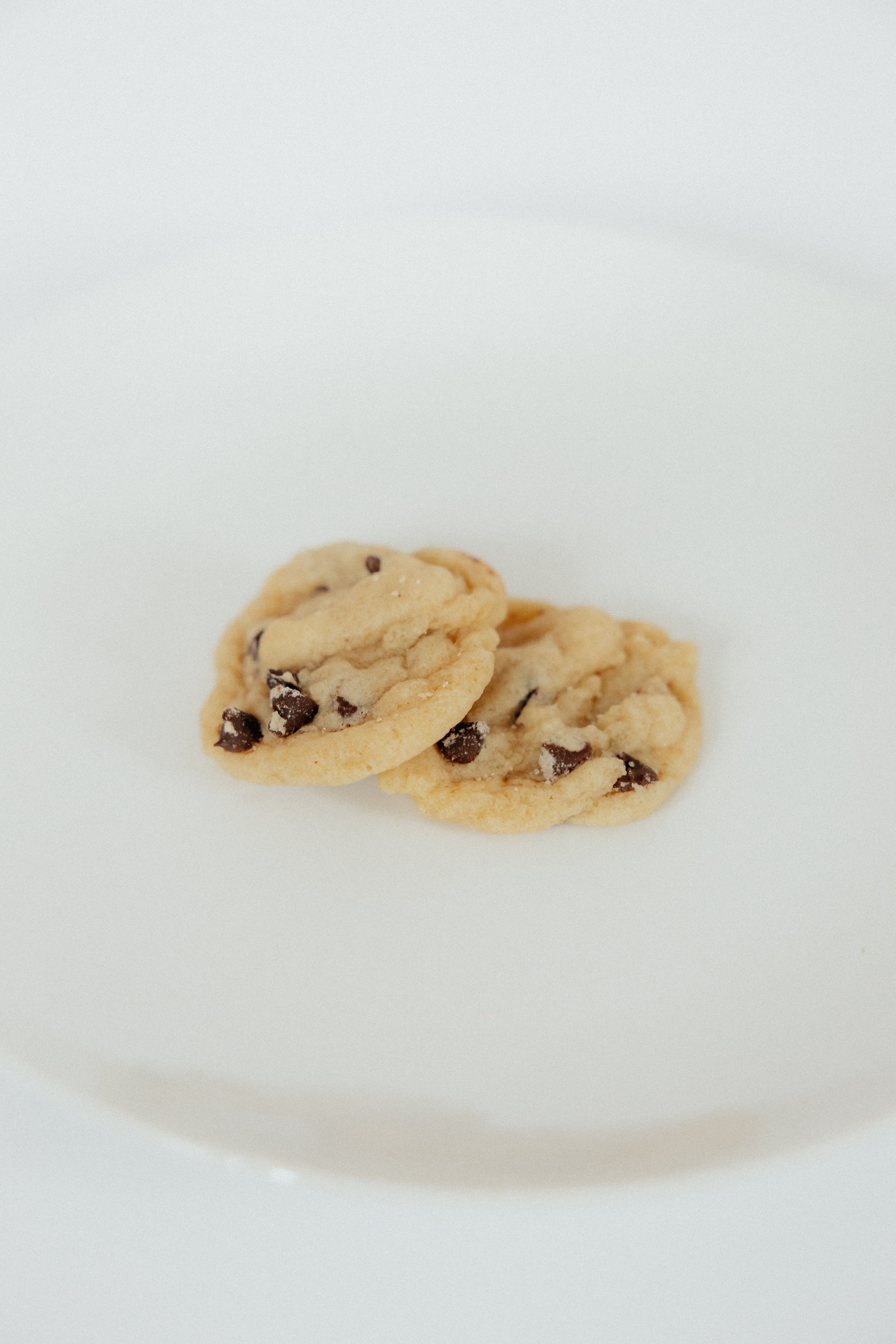 Itty Bitty Minis: $4.50 for 1 dozen, Minimum Order 3 dozen