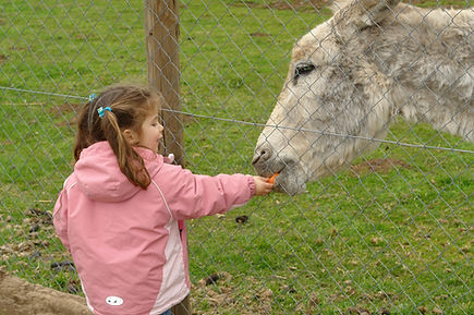 DSC09167.JPG