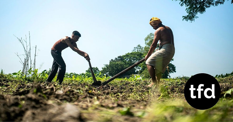 India to Maintain Agriculture Protections in Deal with Trump