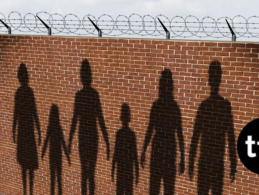 Survey Shows Opposition to Trump’s Immigration Crackdown