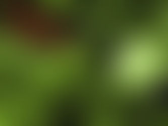 Nvidia Reportedly Discussing $250 Billion Financing Backstop for OpenAI Data Center