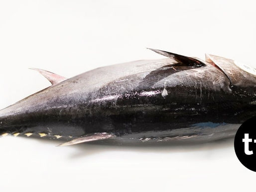 Japanese Sushi Chain Sets Record with $3.2-M Tuna Purchase