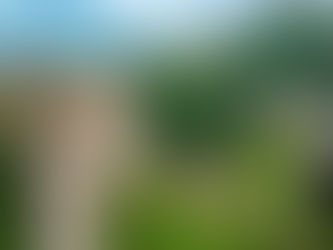 Archaeologist Claims Chinese Civilization Dates Back 8,000 years