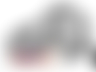 T-Rex May Have Used Lower Jaw As Tactile Sensor: Researchers