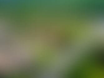 Housing Market Headed For Another Dismal Year