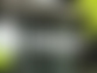 European Stocks Rally As EU Cuts Tariff Deal With U.S.