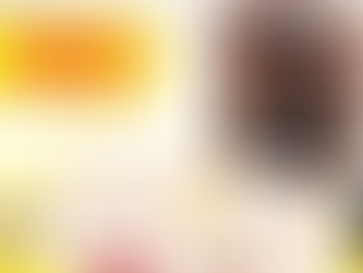 DONUT FRANCHISE TRIAL PACKAGE SET