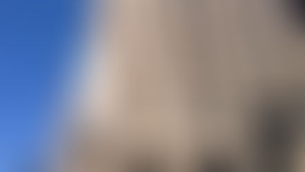 Musk to Pay Billions After Losing Twitter Purchase Case