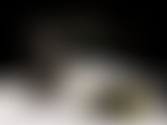 Japanese Firm’s Rover Ends Mission On Moon, Abandons Surface Exploration