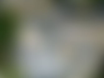 Korean Firm Tapped to Design BCDA Water Management System