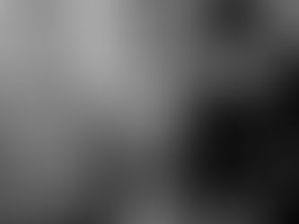 Trump Kills Annual Report on U.S. Hunger, Calls It "Overly Politicized"