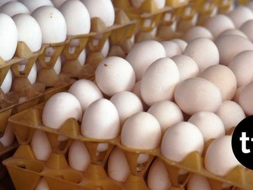 Egg Producers to Pay $3.3 Million, Donate 53 Million Eggs in Price-Fixing Settlement