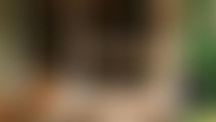 Trump Orders U.S. Agencies to Stop Using Anthropic Tech