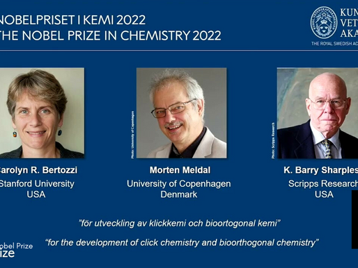 Pioneers Of Lego-like 'Click Chemistry' Win Nobel Prize