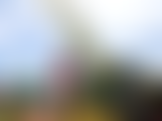 Nueva Ecija Farmers Get Ayuda Under DA RCEF