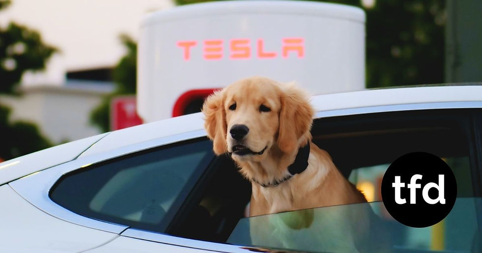 Elon Musk Floats Idea of Closer Tesla–SpaceX Integration