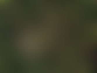 Tariffs Brew Trouble for Coffee Roasters